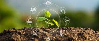 environment